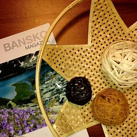 Cosy In With Mountain View - 60 M² Bansko